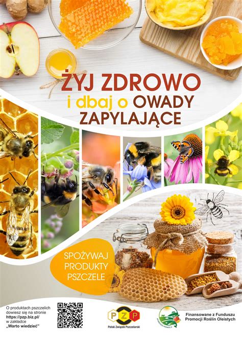 Dôsledky nehody bez PZP