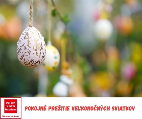 Schéma fungovania odborovej organizácie a jej členov