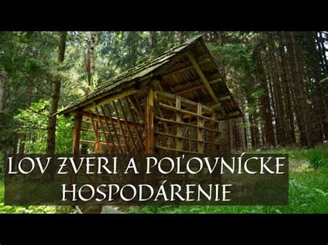 Hierarchia vydávania povoleniek na lov zveri