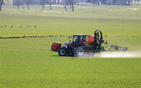 Škody spôsobené zverou na poľnohospodárskych plodinách na Slovensku