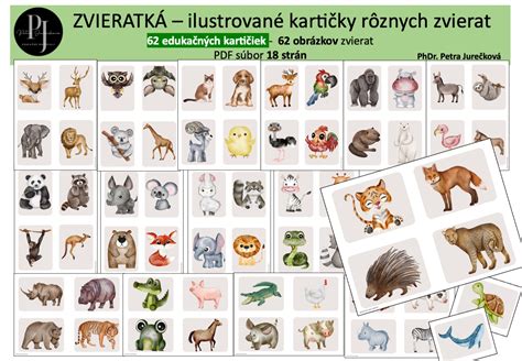 Opatrovateľka sa učí nemecky pomocou kartičiek s obrázkami