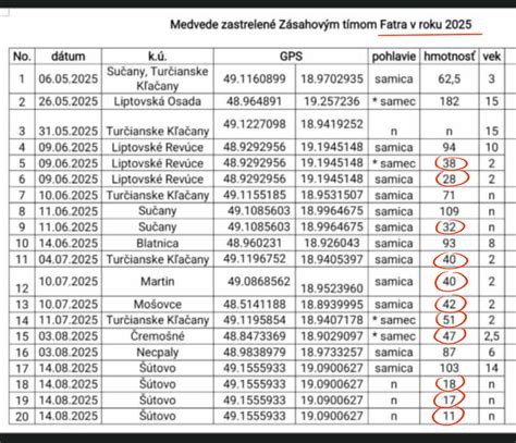 Rodina sa stará o staršieho človeka, čo symbolizuje opatrovanie a podporu