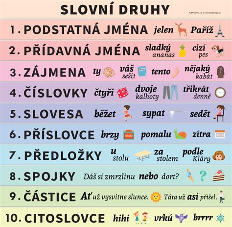 Druhy rehabilitačných procedúr