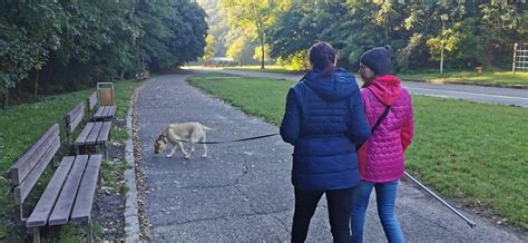 Psa na prechádzke s majiteľom