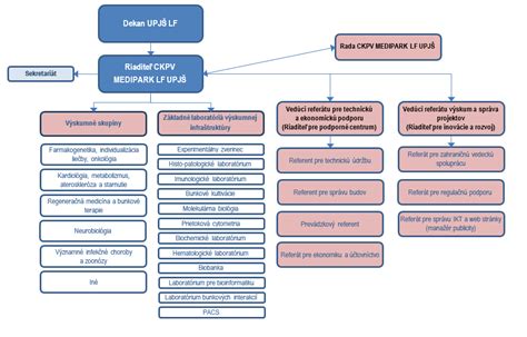 Štruktúra lekárskeho vzdelávania na Slovensku