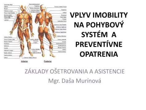 Infografika: Dôsledky imobility na ľudský organizmus (kardiovaskulárny systém, svaly, koža, psychika)