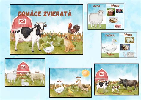 Rôznorodé domáce zvieratá