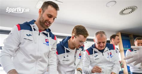 Ilustrácia siete na bedmintonovom kurte