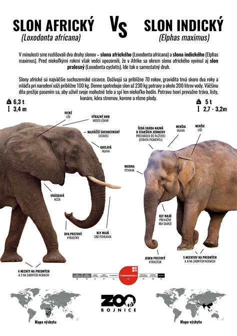 Infografika vysvetľujúca rozdiel medzi hrubým a čistým príjmom