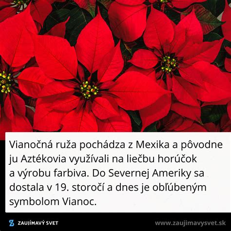Kalendár s vyznačeným decembrom a symbolom Vianoc