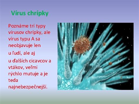 Typy vírusov chrípky