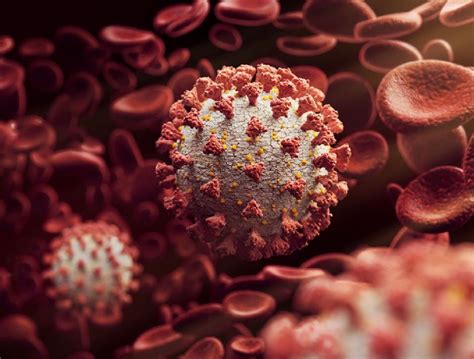 Pohlavne prenosné choroby a HPV vírus