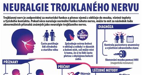 Anatómia trojklaného nervu