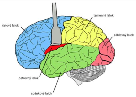 Ilustrácia mozgu s prepojeniami a symbolmi psychologických stavov