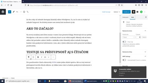 Prístupnosť webu pre zrakovo postihnutých