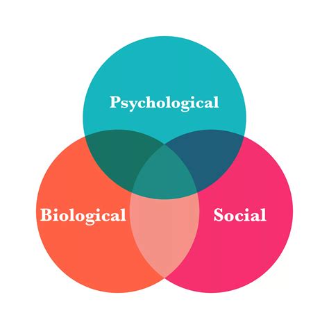 Bio-psycho-sociálny model zdravotného postihnutia