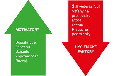 Infografika: Kľúčové faktory úspešnej rehabilitácie - individuálny prístup, motivácia, kvalifikovaný personál