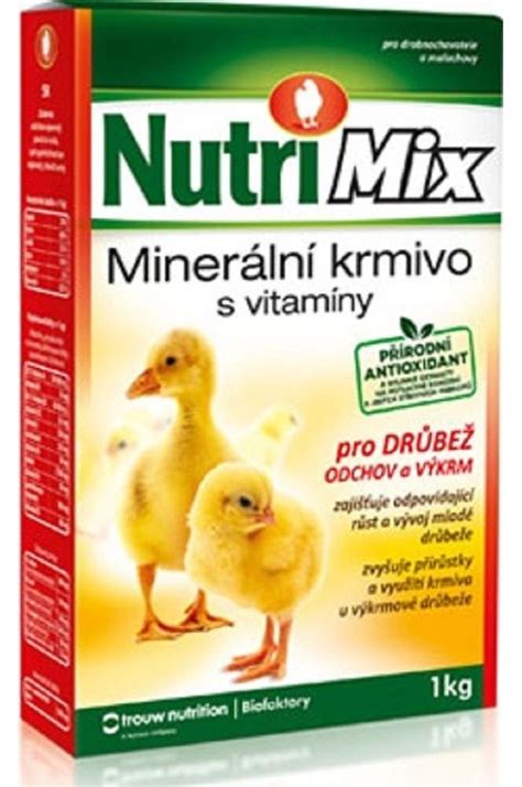 Obrázok znázorňujúci rôzne vitamíny a minerály dôležité pre hojenie