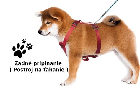 Typy rehabilitačných postrojov