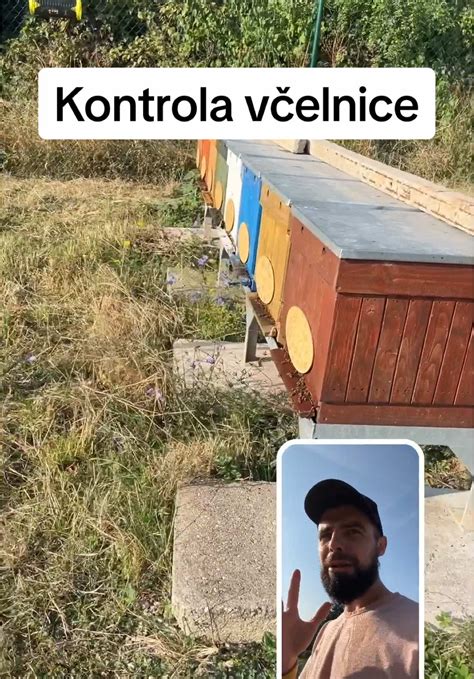 Kontrola a striedavá starostlivosť