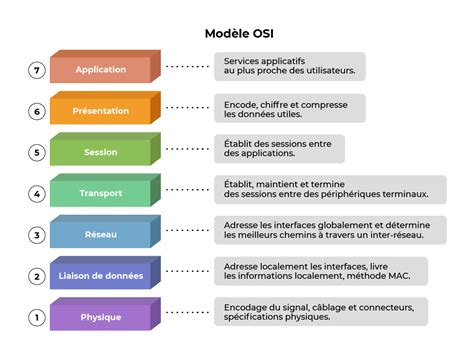 Schéma osi črevo-mozog