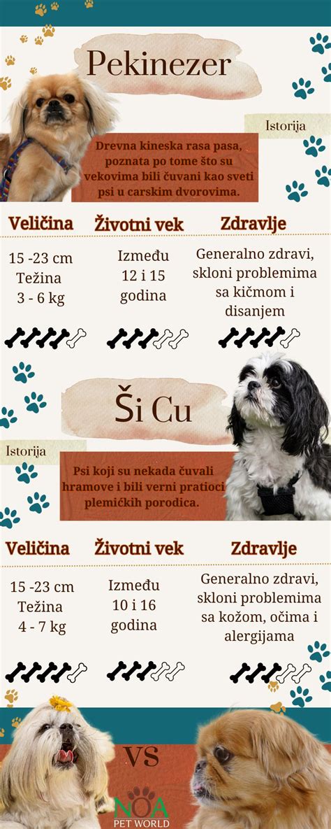 Infografika: Zdaniteľné vs. nezdaniteľné príjmy