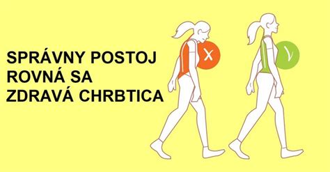 Ilustrácia zdravej psej chrbtice a kĺbov
