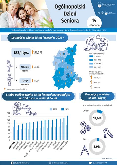 Infografika zručností Senior Procesného Inžiniera