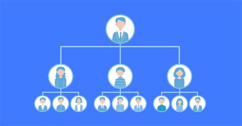 Infografika: hierarchická štruktúra riadenia liečebného zariadenia