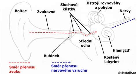 Schéma sluchového systému a šírenia zvuku