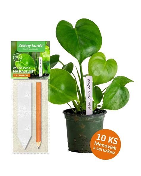 Kreatívne DIY etikety na rastliny