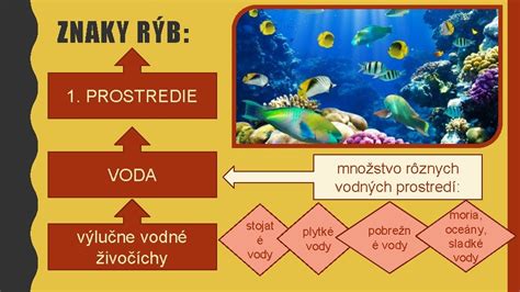 Ilustrácia rôznych vodných procedúr
