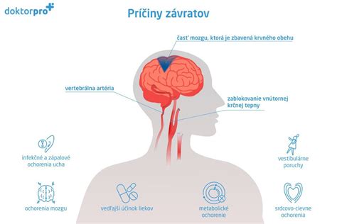 Príčiny vzniku sluchového postihnutia - schéma