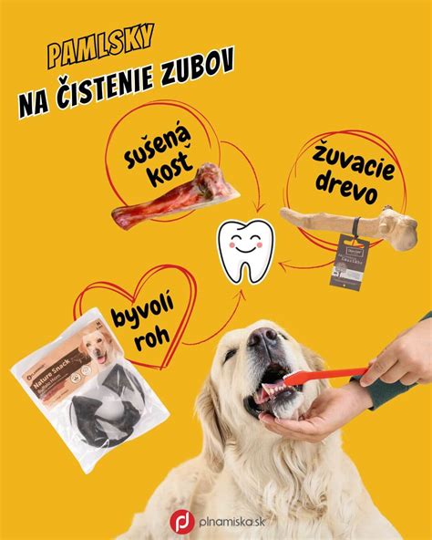 Rôzne druhy výcvikových pamlskov pre psov