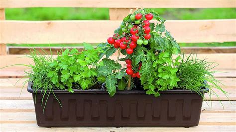 Balkón so zeleninou a bylinkami