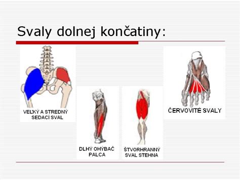 Diagram príčin amputácie dolnej končatiny