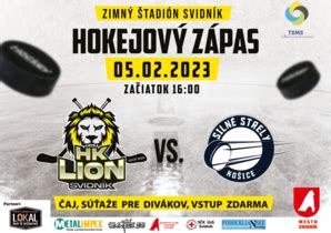 Pohľad na hokejový zápas
