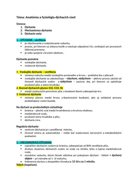 Štruktúra dýchacích ciest počas spánku