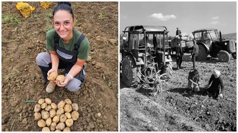 Ilustračná fotografia mladého poľnohospodára pracujúceho na poli.
