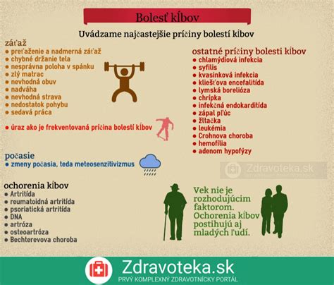 Príčiny bezdomovectva infografika