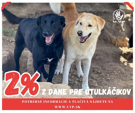 Dobrovoľníci pomáhajúci zvieratám v útulku