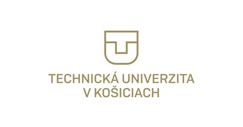Absolvent študijného programu Sociálny a sémantický web na TUKE