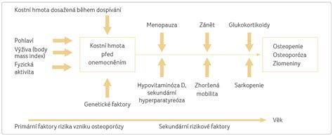 Schéma: Faktory vzniku diabetickej nohy (neuropatia, ischémia, trauma)