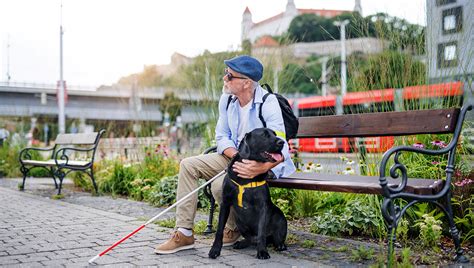 Zrakovo postihnutý človek s vodiacim psom
