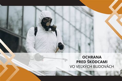 Ochrana zamestnanca pred výpoveďou počas PN