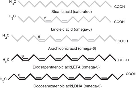 Struktura omega-3