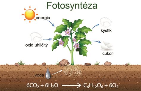 Schéma kyslosti pôdy pre rastliny