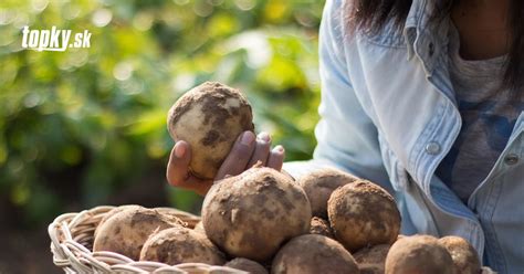 Zelenina pestovaná v Raslaviciach