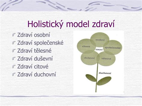 Schéma - Holistický model klinickej sociálnej práce