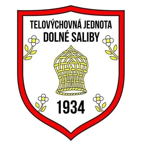 Fotografia exteriéru Domova dôchodcov Dolné Saliby